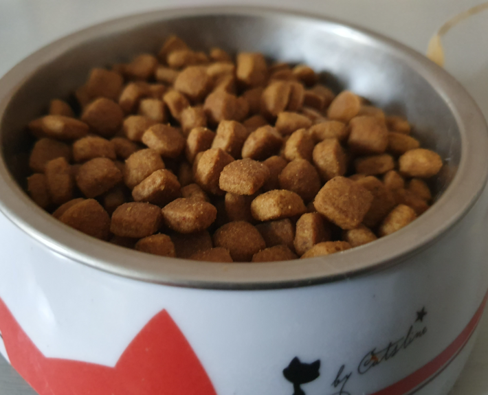 Produk makanan kucing